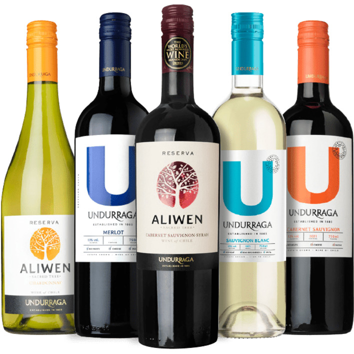 Alle Undurraga of Aliwen