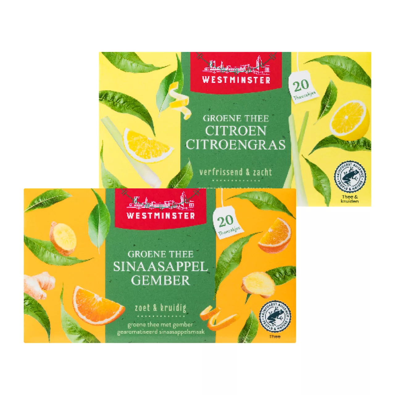 WESTMINSTER Groene thee