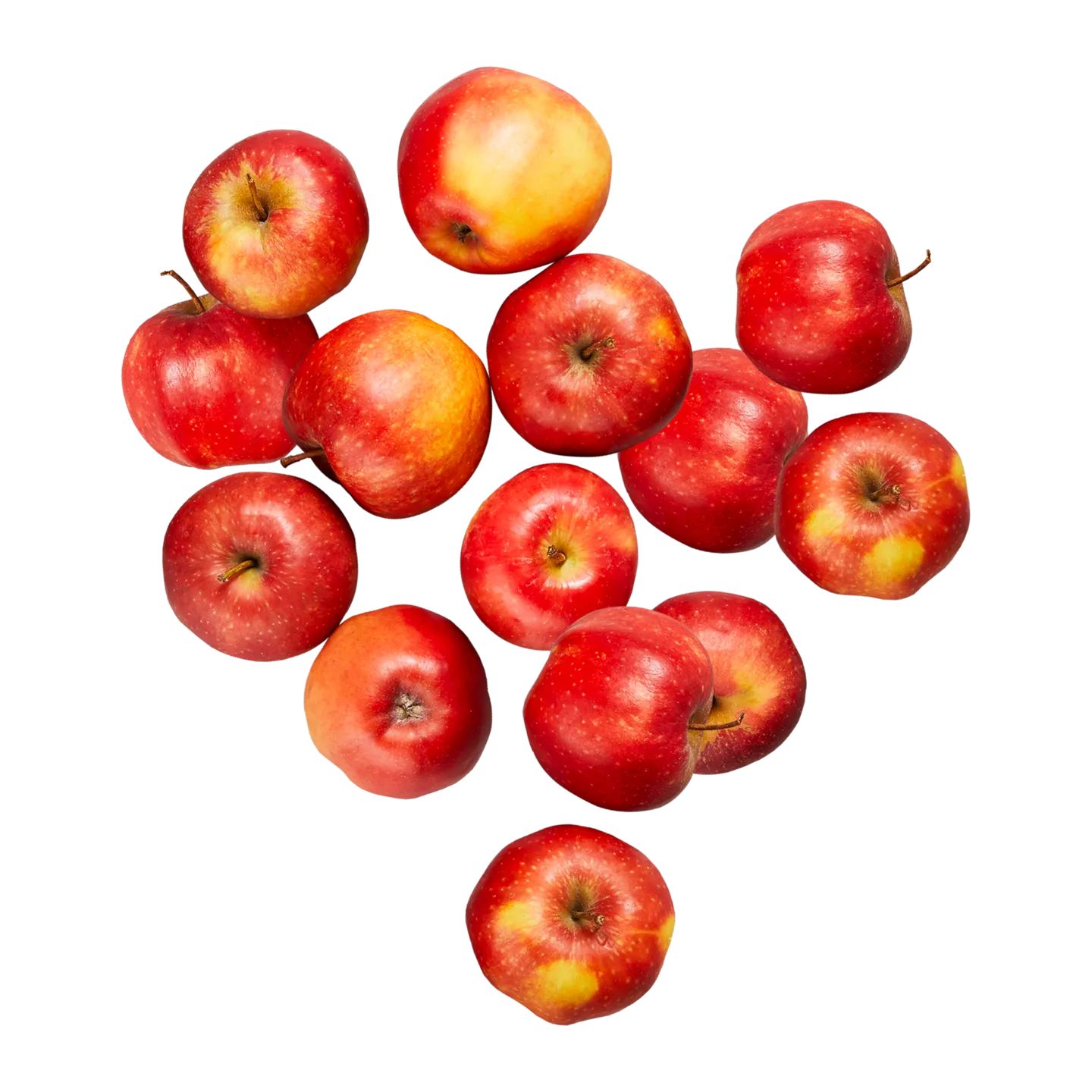 Hollandse Jonagold appels