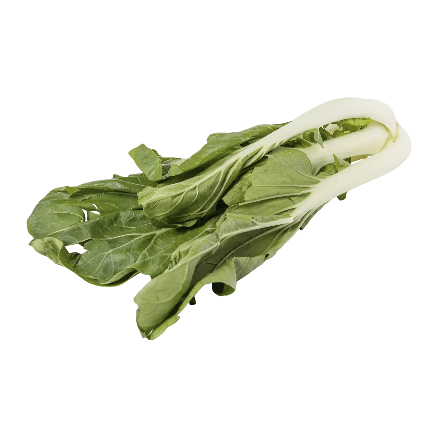 Paksoi