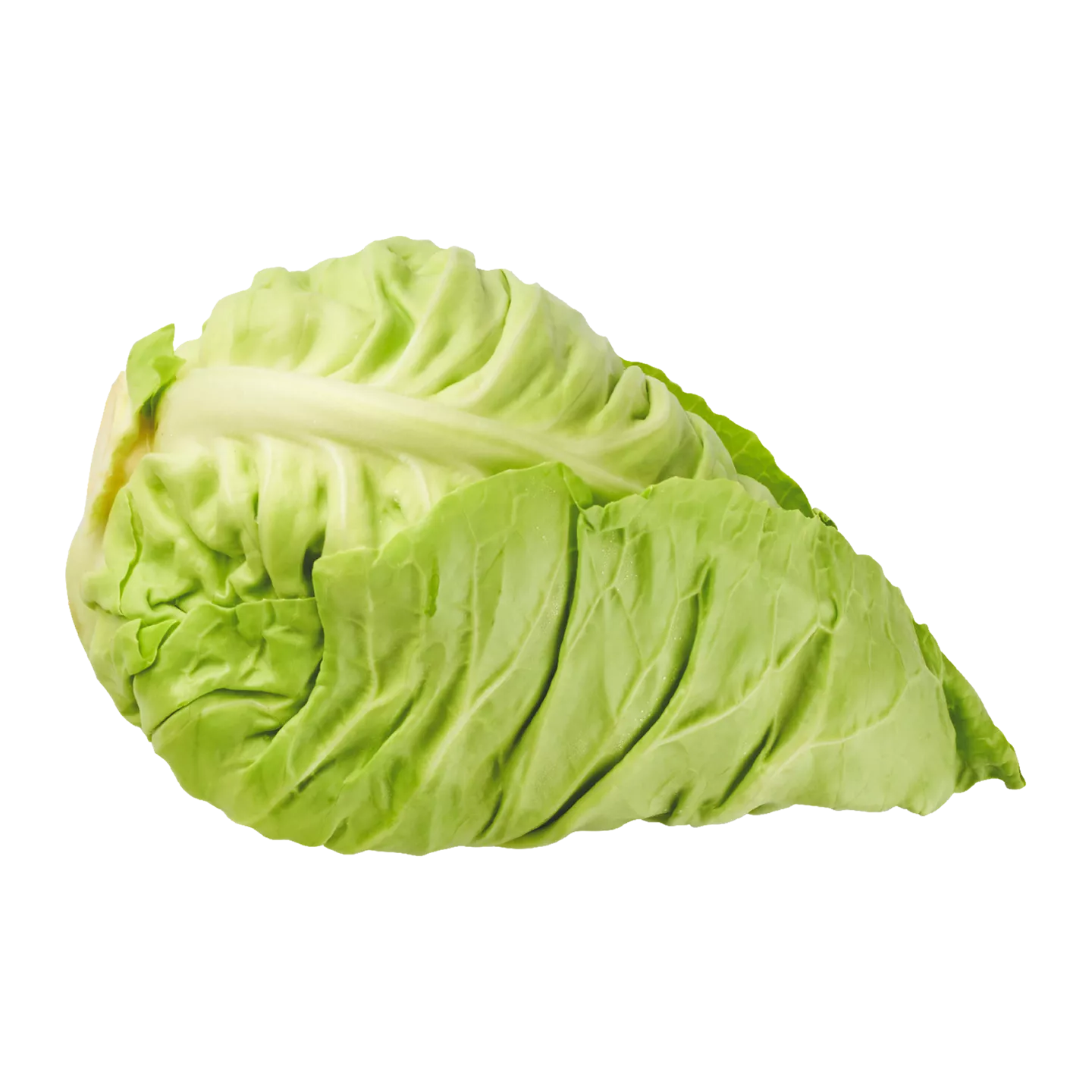 Spitskool