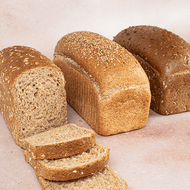 DekaVers Hollander of Tarpan Brood