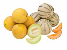 Galia of cantaloupe meloen