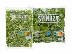 Andijvie grof of spinazie