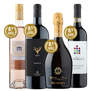 Buontalenti Chianti, Trefilari Primitivo, Villa Aix Rose of Bottega Prosecco