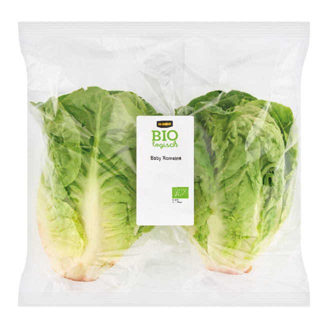 Biologische baby romaine