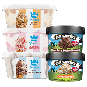 Ben & Jerry's of Hertog mini's