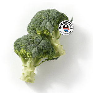 Broccoli