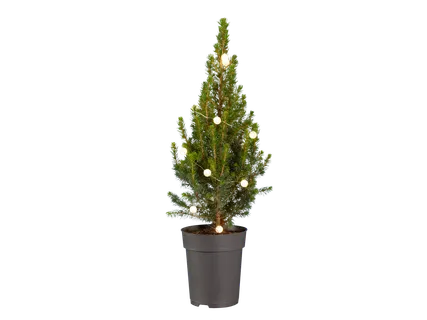 Mini kerstboom met verlichting