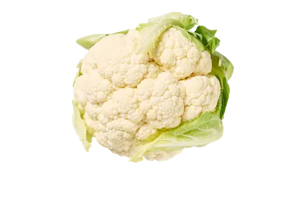 Bloemkool