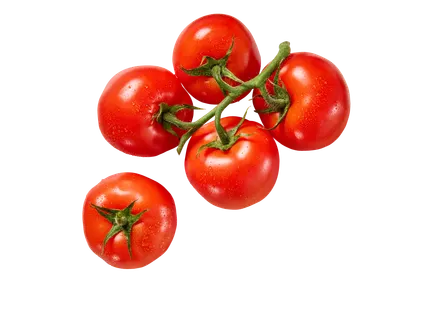 Trostomaten