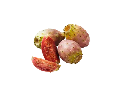Cactusvijgen