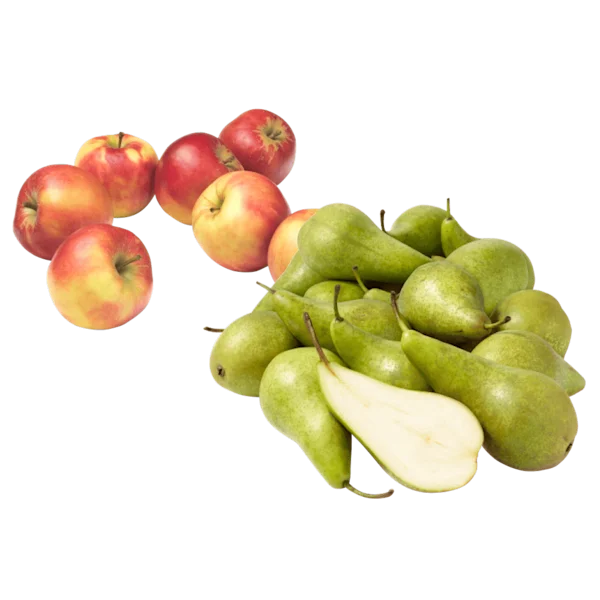 PLUS Nederlandse Handperen Conference en handappels Elstar