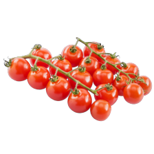 Noordertrots tros cherry tomaatjes