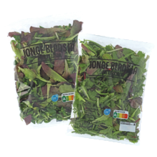 Jonge bladsla met rucola of veldsla